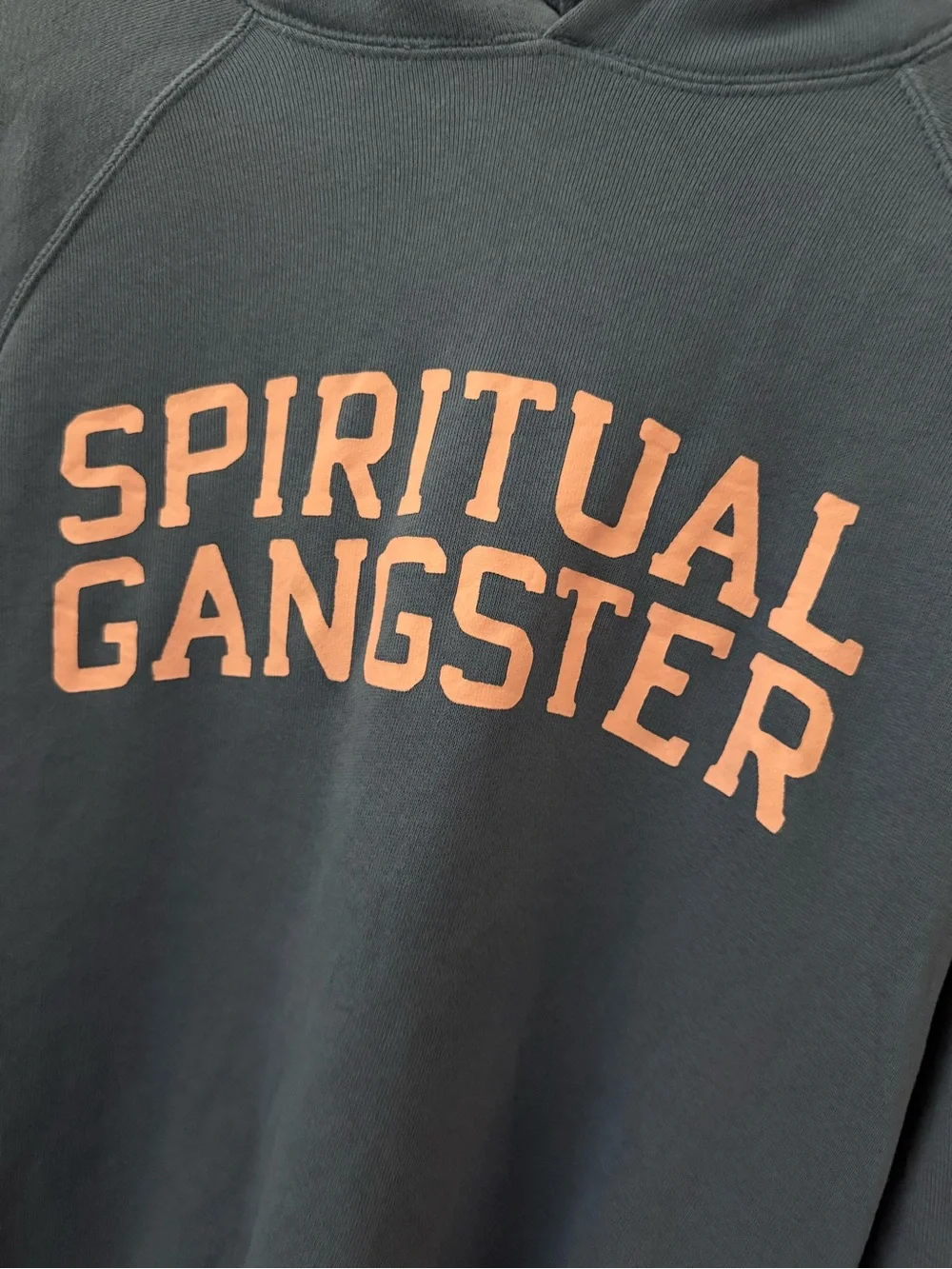 Spiritual Gangster Blue Hoodie with Pink Logo - Picture 3 of 4